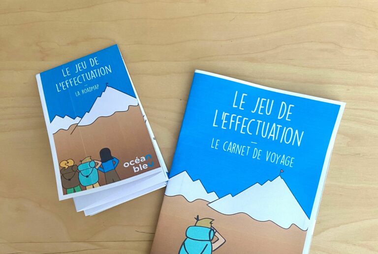 Manager dans l&rsquo;incertitude: Les 5 principes de l&rsquo;Effectuation en format interactif pour challenger vos equipes